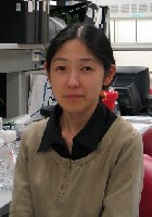 Yoko Nakano, PhD